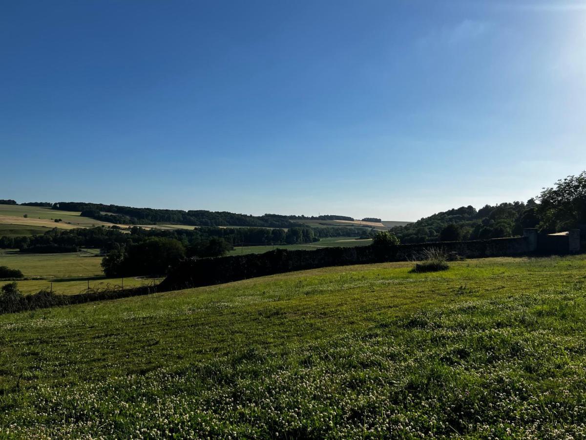 Bed and Breakfast Demeure De La Garenne Montmirail  Экстерьер фото