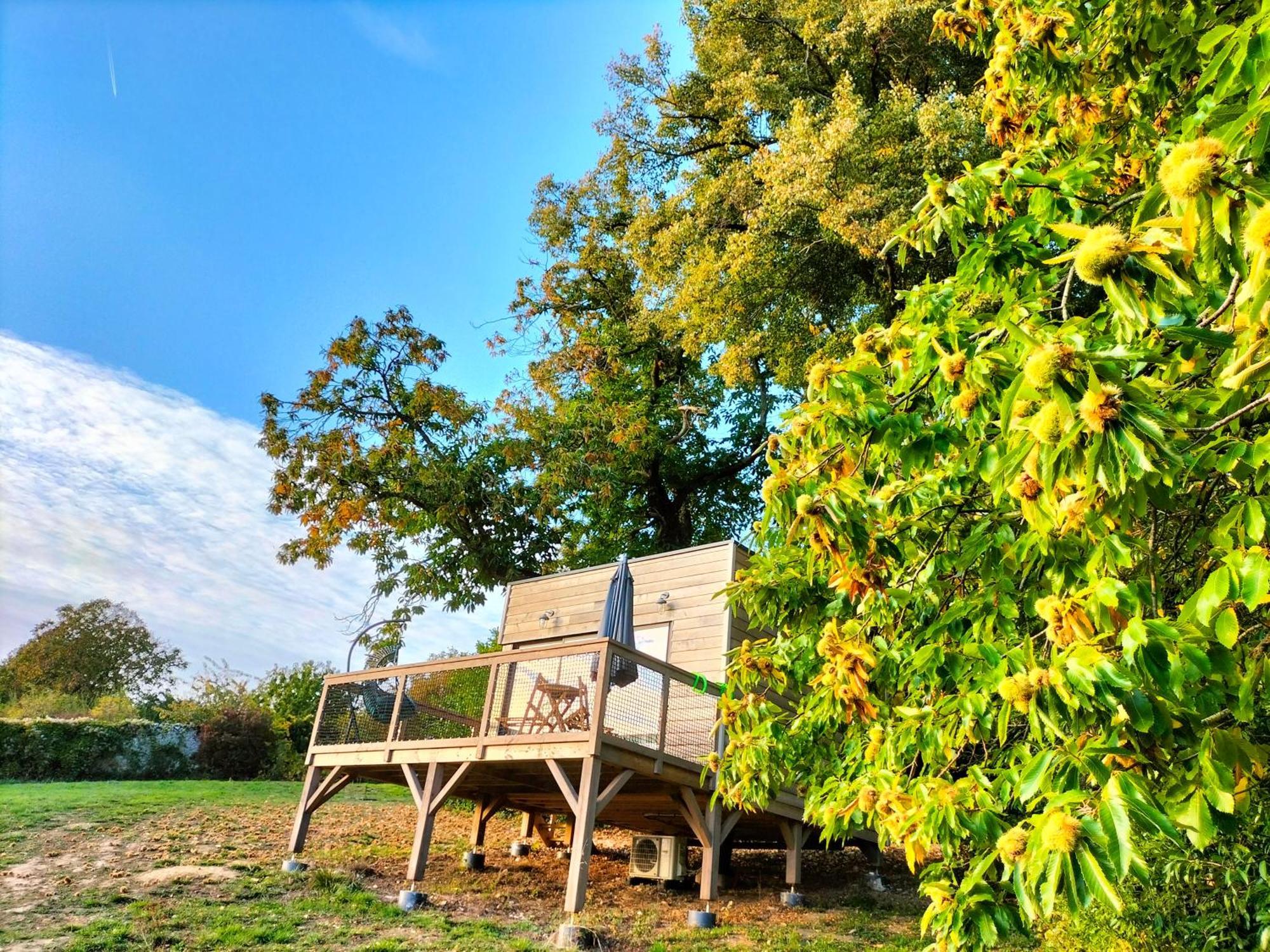 Bed and Breakfast Demeure De La Garenne Montmirail  Экстерьер фото