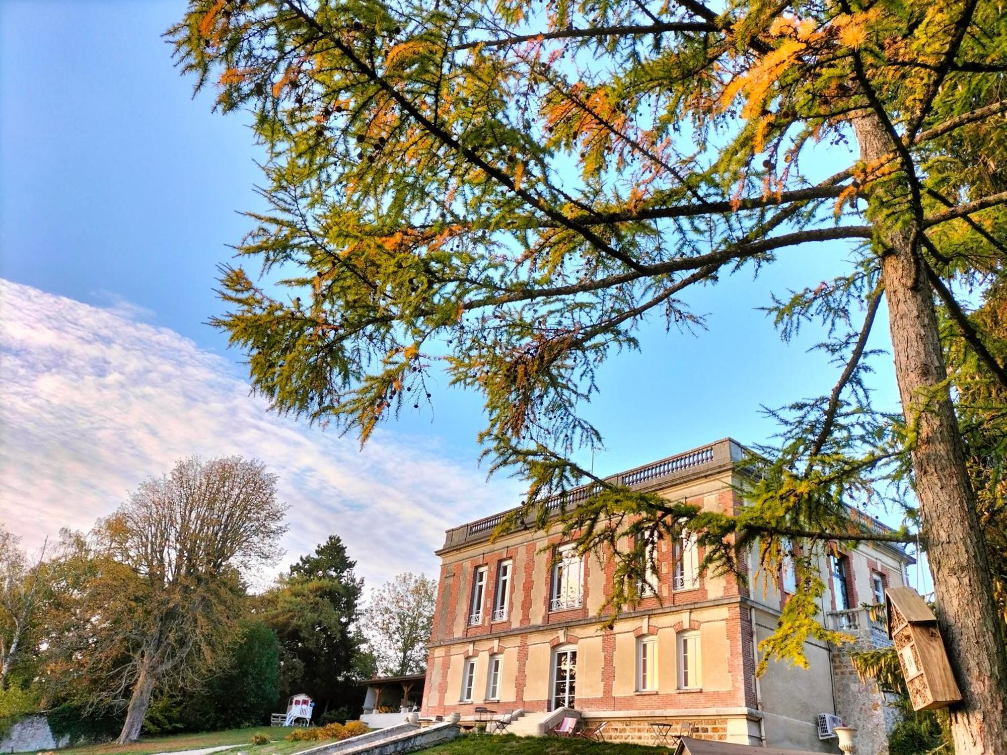 Bed and Breakfast Demeure De La Garenne Montmirail  Экстерьер фото