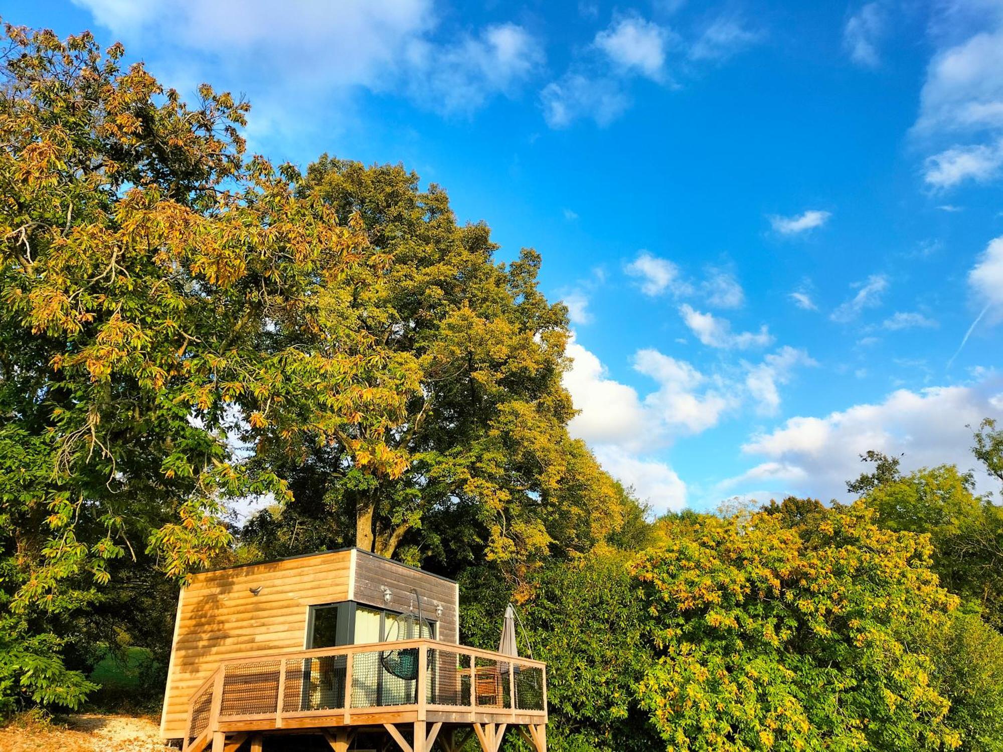 Bed and Breakfast Demeure De La Garenne Montmirail  Экстерьер фото