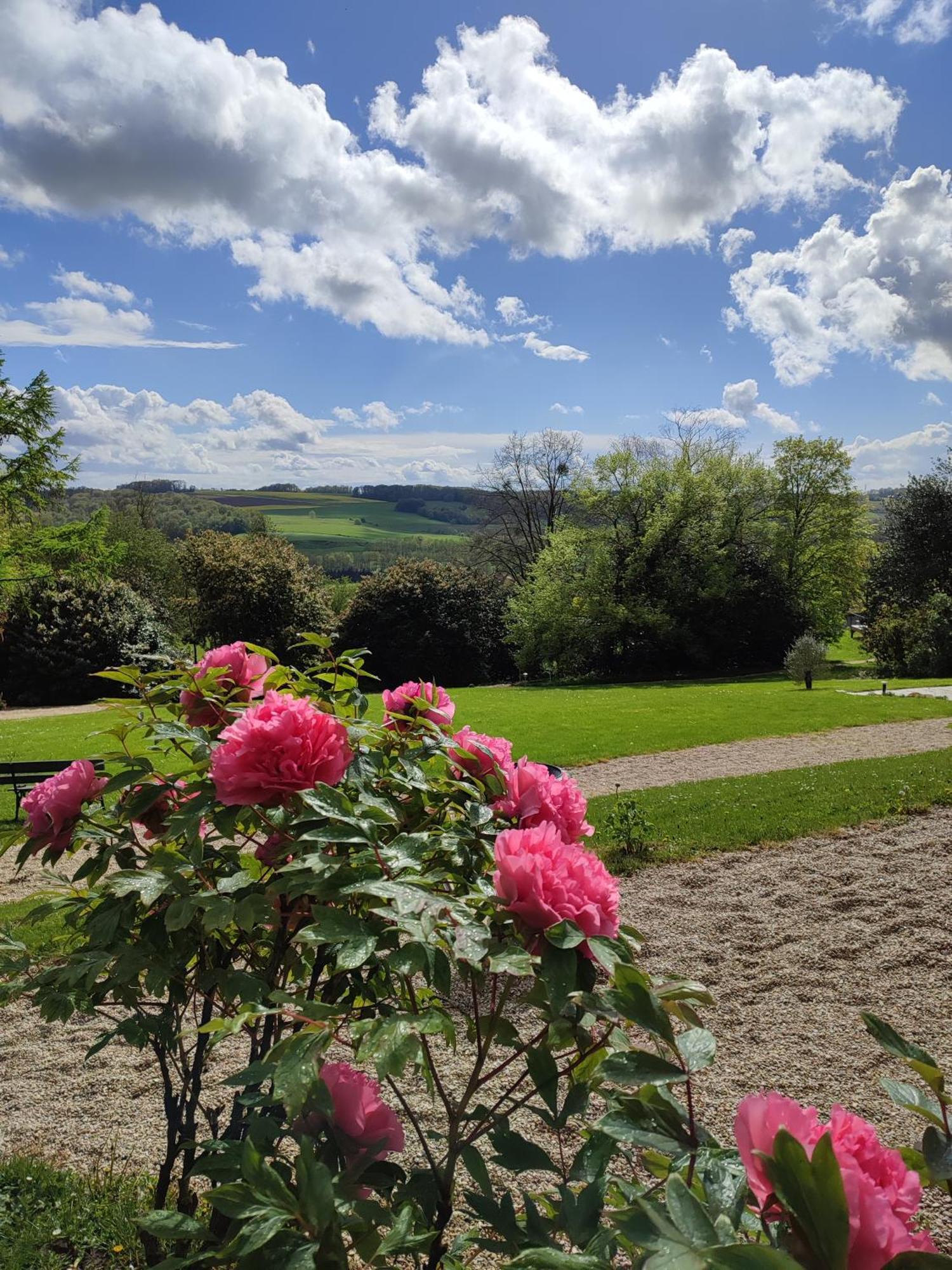 Bed and Breakfast Demeure De La Garenne Montmirail  Экстерьер фото